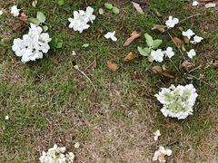 -大龙山(地铁站)