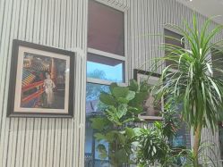 -爱儿美儿童摄影(五路居花园别墅店)