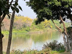 -海珠湖公园