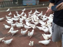-国色天乡三期陆地乐园