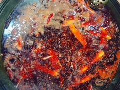 -星鸿社重庆老火锅