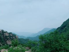 -大岭沟猕猴桃谷风景区