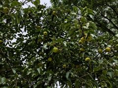 -张掖大佛寺景区