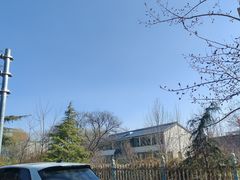 -黄河花园口旅游区