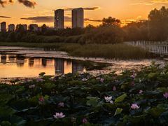 -哈尔滨大剧院