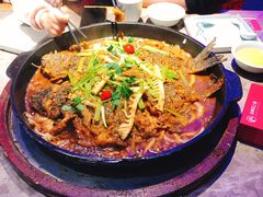 -老板恋上鱼(荣盛广场店)