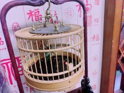 -金板寸