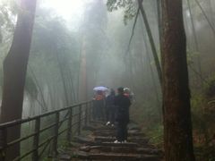 -东天目山风景区