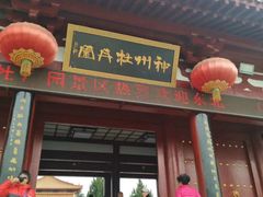 -神州牡丹园
