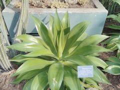 -南山植物园