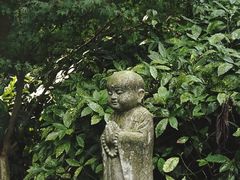 -灵隐飞来峰景区
