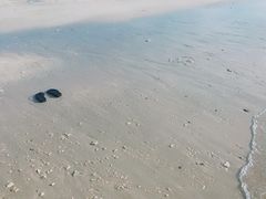 -石螺口海滩