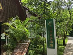 -野象谷景区