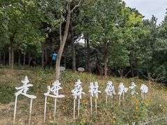 -北京西山国家森林公园