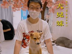 -浣熊柯尔鸭土拨鼠·电玩咖