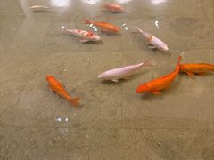 -三亚绿发山海天JW万豪酒店