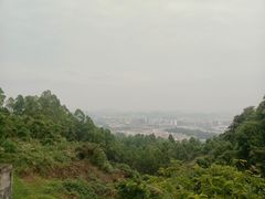 -火炉山森林公园