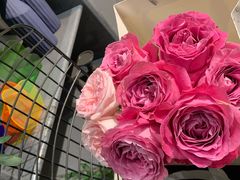 -植物学家的女儿(北马道巷店)