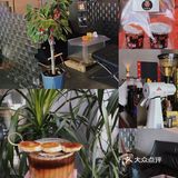 东莞咖啡｜人间咖啡因贩卖机🤖