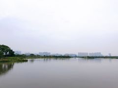 -三垟湿地