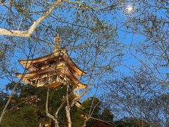 -兰边碗(鼓楼店)