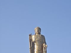 -中原大佛景区