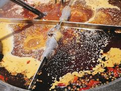 -陈眼镜火锅(总店)