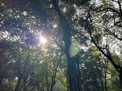 -杭州植物园