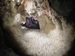 -湖南省地质博物馆