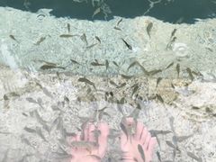 -苏州湾王焰温泉度假酒店