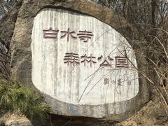 -白水寺森林公园