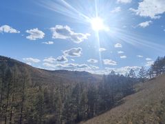 -莫尔道嘎国家森林公园