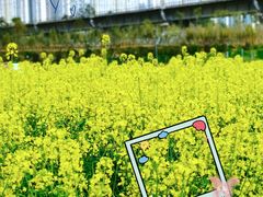 -白鹭湾湿地公园