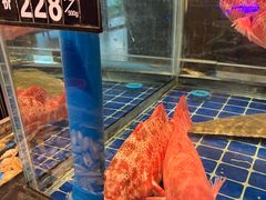 -百富源·海鲜辽菜(浑河堡店)