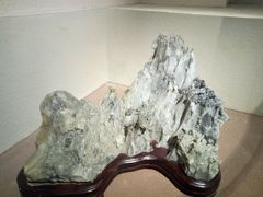 -陕西自然博物馆