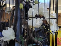 -海底捞火锅(龙湖三千集店)