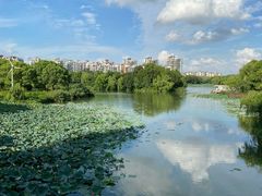 -新江湾城公园