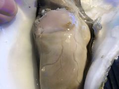 -千岛蚝高压锅生蚝·人参火锅(白云万达店)