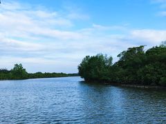 -东寨港红树林旅游区