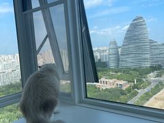 -爱洗澡的猫(望京店)