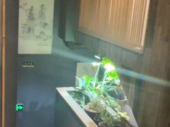 -邈墨茶馆(大兜路1号店)