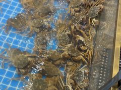 -半岛听涛蒸汽海鲜自助(K11店)