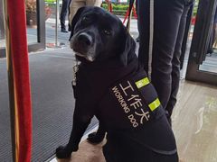 -京基滨河时代广场