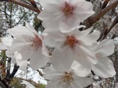 -玉山公园