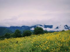 -石棉县孟获城