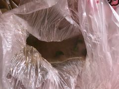 -童子鸡专卖店(中新街店)