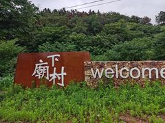 -大塘金香草谷