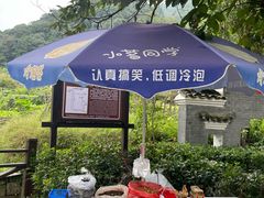 -石台牯牛降景区