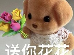 -虾吃虾涮.虾火锅.肉蟹煲(步步高梅溪新天地店)