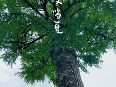 -豫园